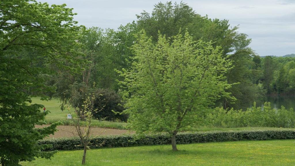 Maison D'Hotes Chateau De Lastours Espalais エクステリア 写真